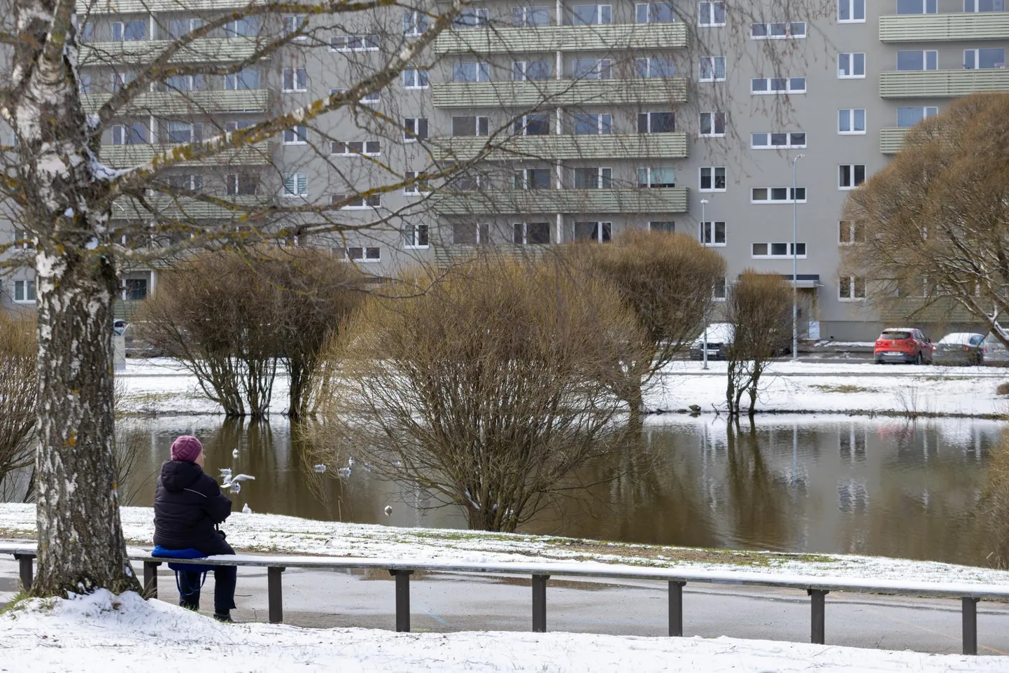 Uue toetuse abil võiks Tartusse tekkida elurikas veesilmade võrgustik.