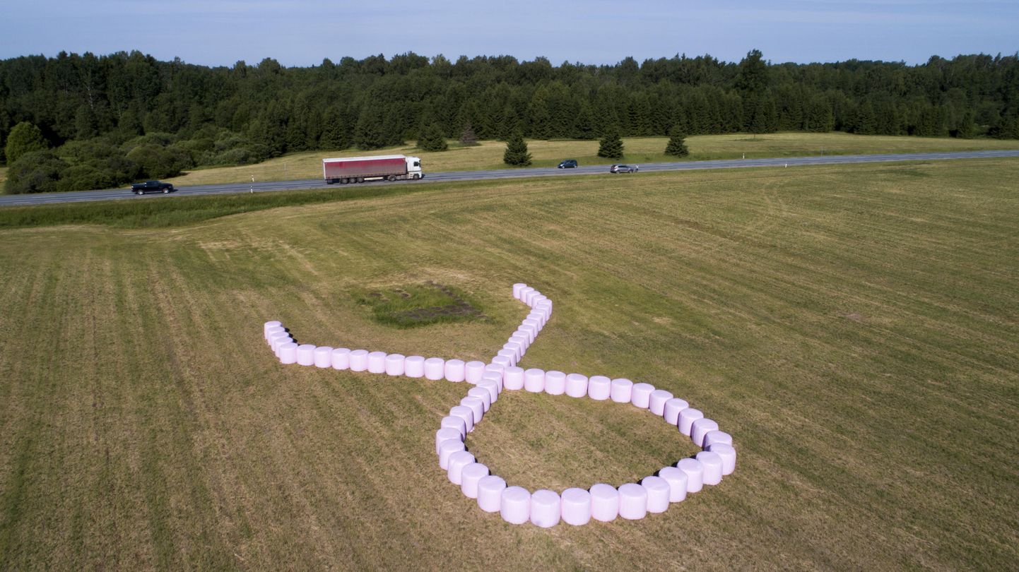 Põllumees Arvo Rohtla on «Vali roosa» kampaania puhul heinapallid ka roosa lindi kujuliselt sättinud ning see äratab möödasõitjate tähelepanu.
