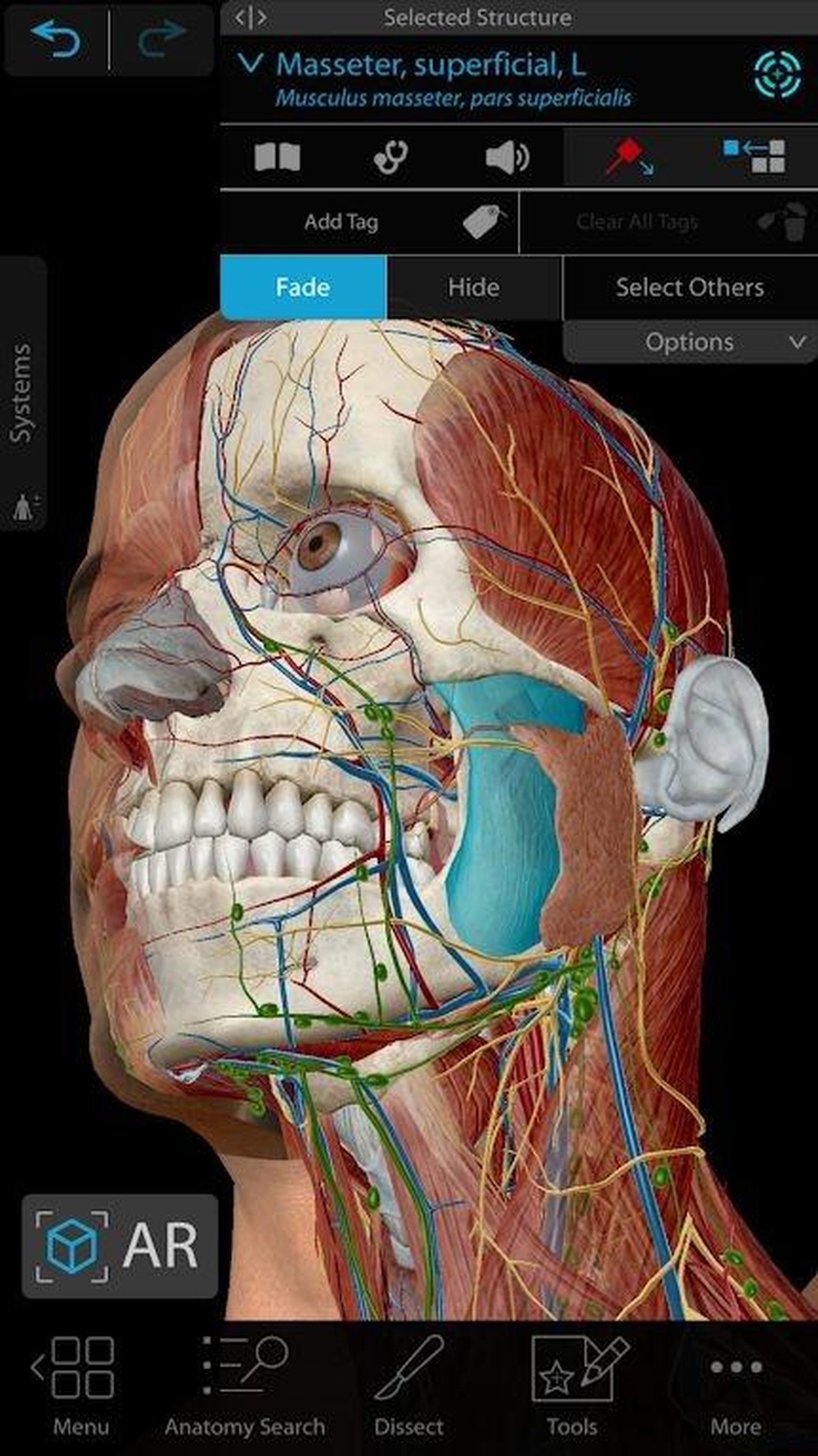Liitreaalsus. Human Anatomy Atlas: mis on inimese sees?