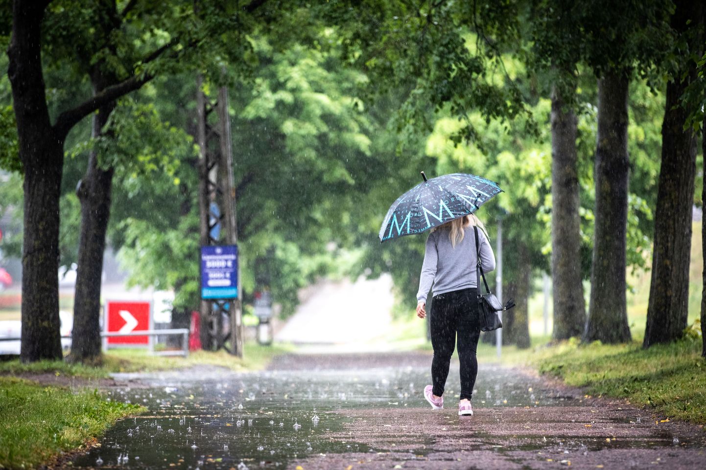 Дождливое утро в Таллинне.