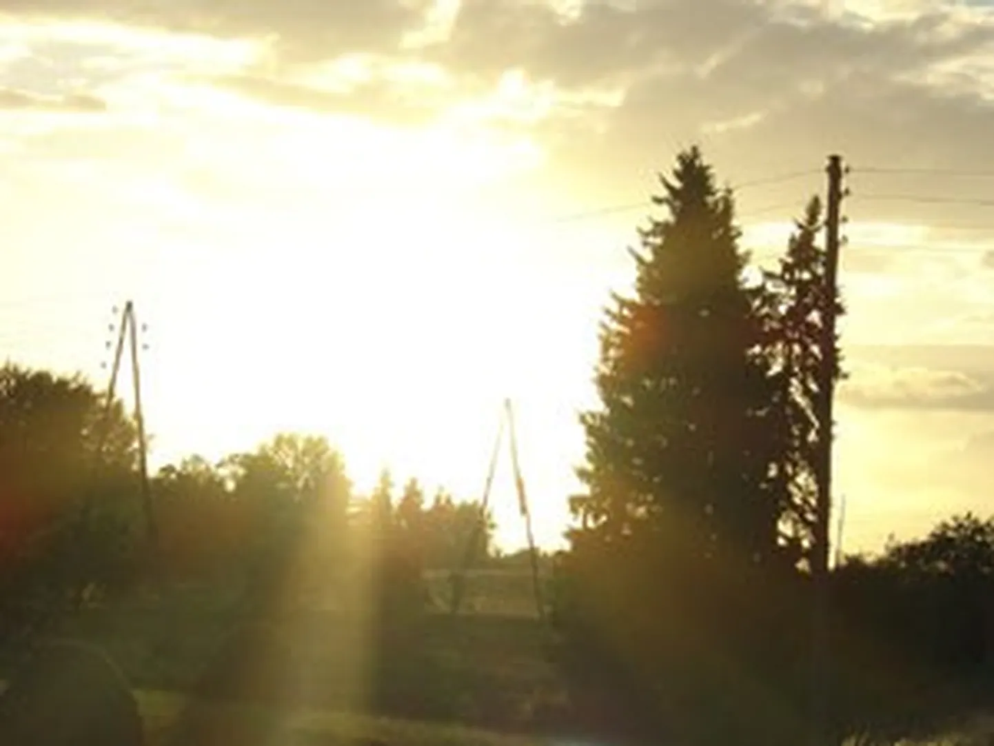 Raksta foto