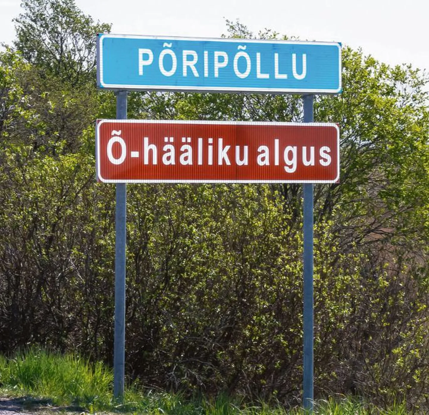 Artikli foto