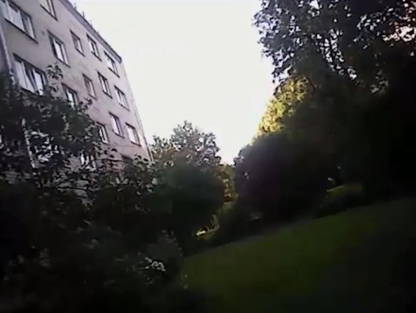 Фото статьи