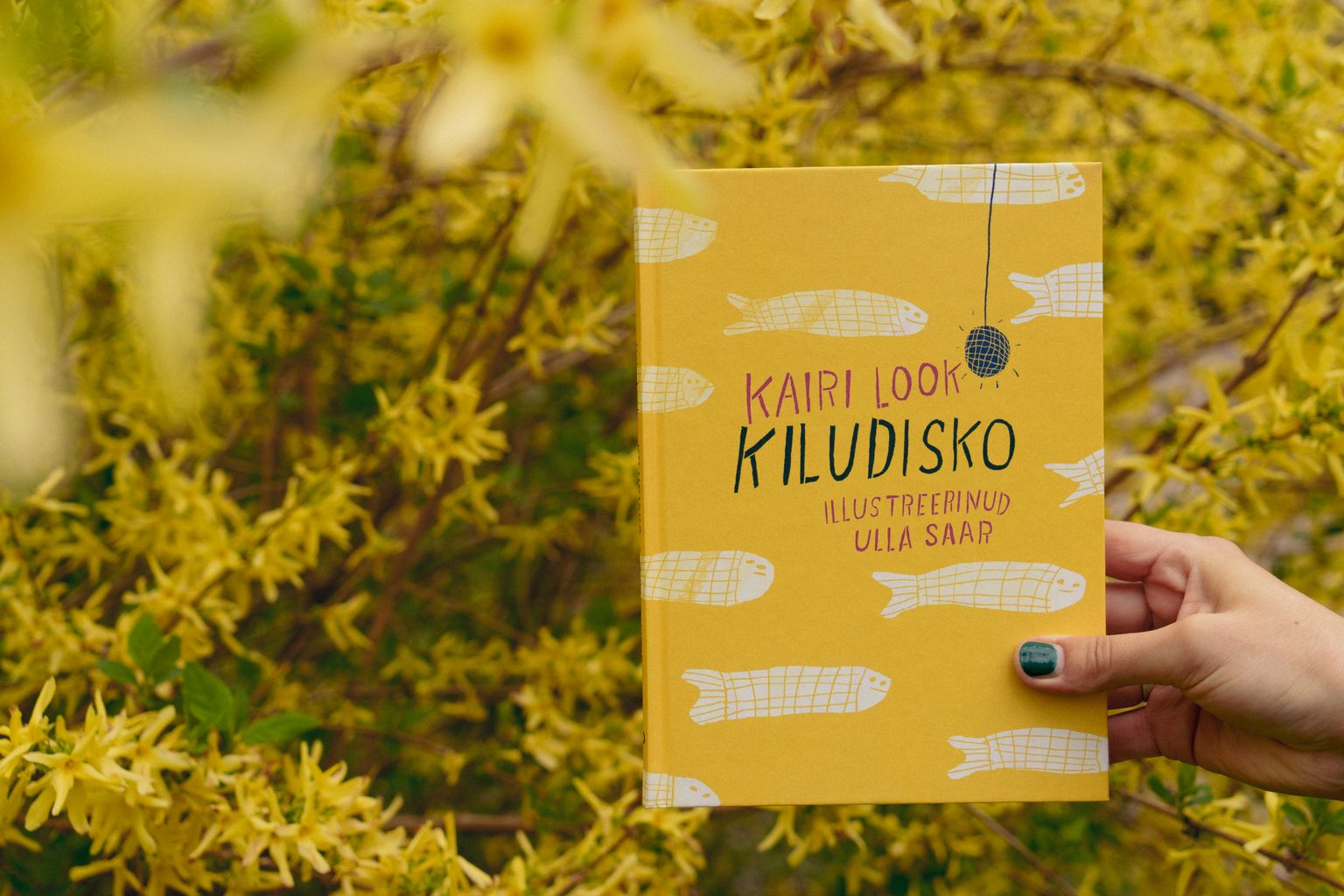 Kairi Loogi lastejuttude kogu «Kiludisko».