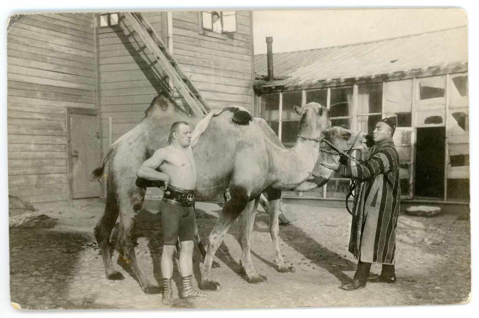 Pärast rasket jõuproovi on Georg Lurich ja kaamelid ühisele pildile kogunenud. Peagi ootab viimaseid ees sõit Eesti poole.