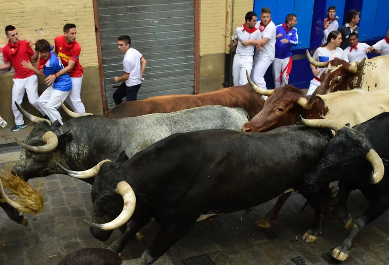 Hispaania San Fermini Pamplona härjajooks