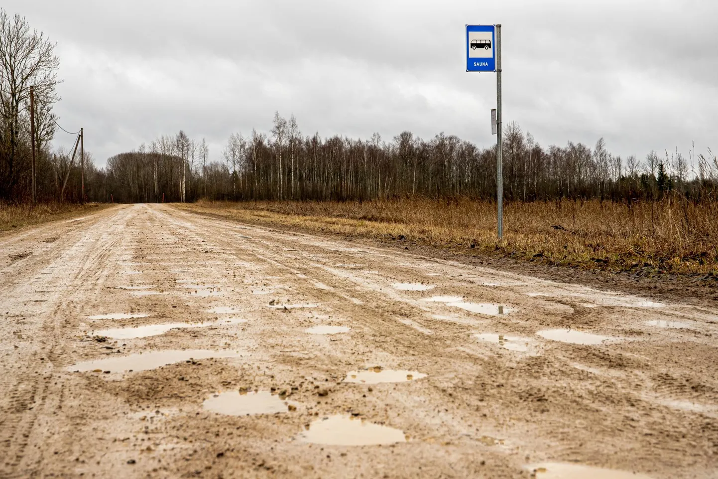 Porine tee. FOTO: Urmas Luik/Parnu Postimees