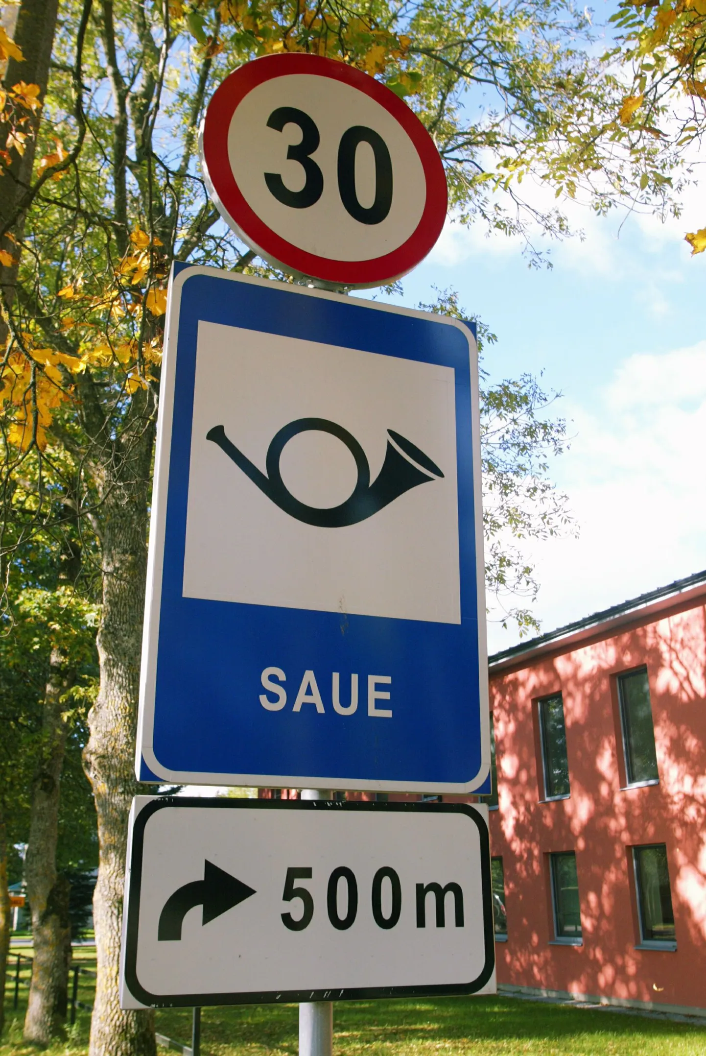 Pärnasalu tänav Sauel.