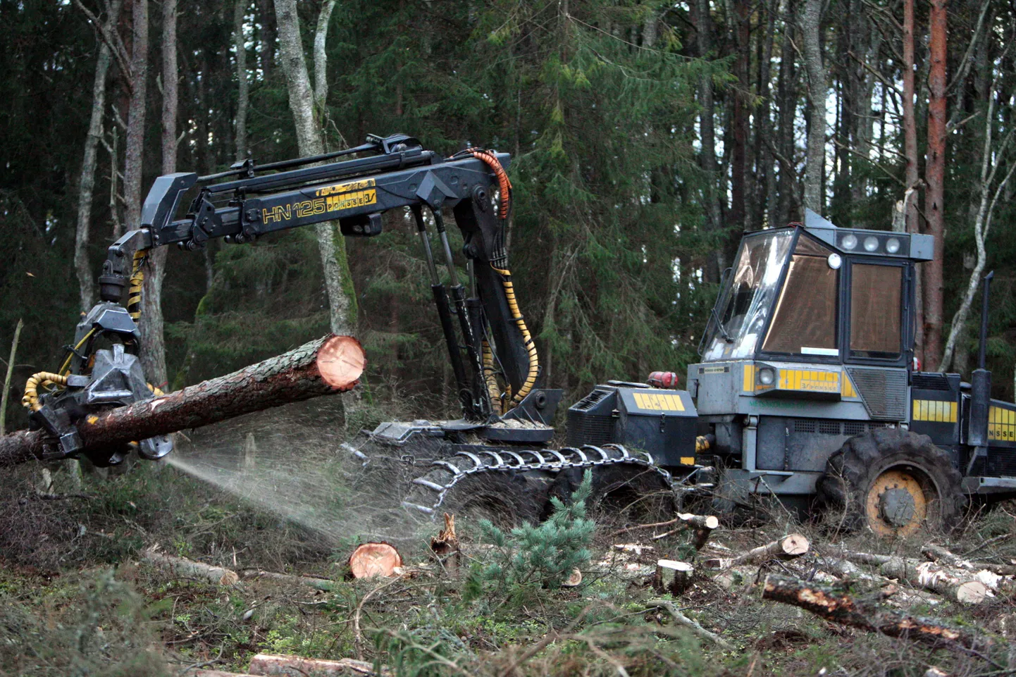«Eesti metsad on hävimisohus, et mitte öelda hävitamisohus,» leiab karmi hinnangu viimaste aastate metsapoliitikale detsembri alguses valitsusasutustele esitatud ühispöördumisest, millele kirjutas alla sada ja üks tuntud kultuuritegelast ja teadlast. Metsamajandate väitel on aga sellised väited tugevalt liialdatud.
