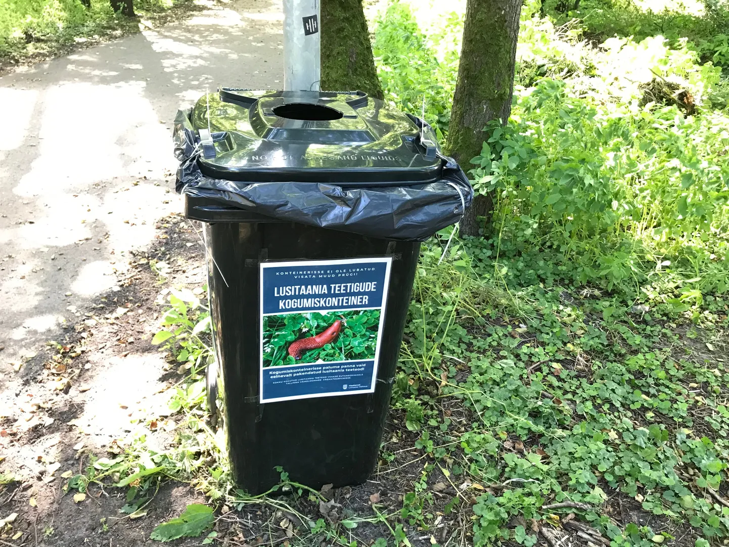 Hiidnälkjate kogumiskonteiner.