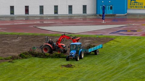 GALERII ⟩ Porgandid maha? Linnastaadion muutus ajutiselt jalkaväljaku mõõtu põllumaaks