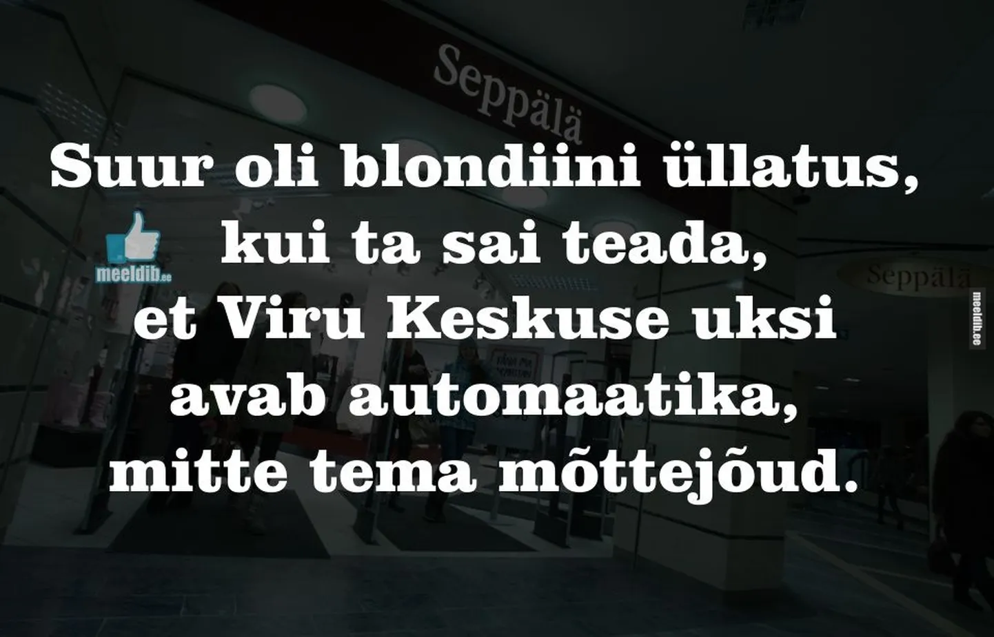 Artikli foto