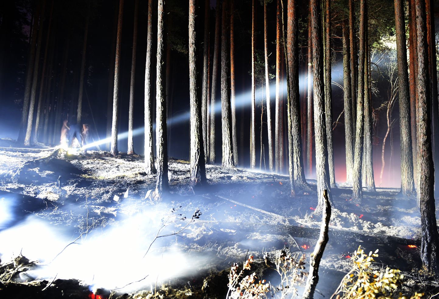 Пожар в Кемерском национальном парке