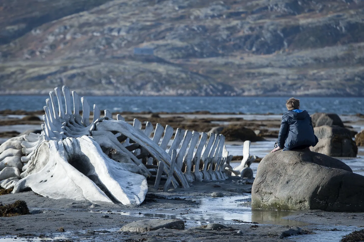 Kaader filmist «Leviaatan»