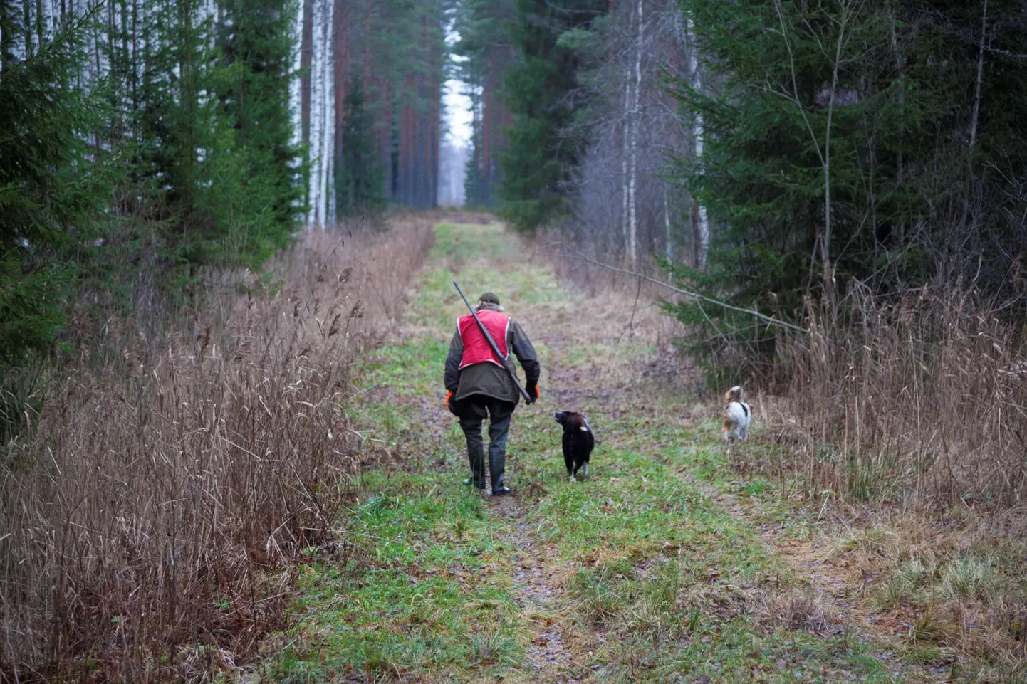 Jahti korraldab keskkonnaamet ajutise lahendusena senikaua, kuni jahipiirkonnale on leitud uus kasutaja.