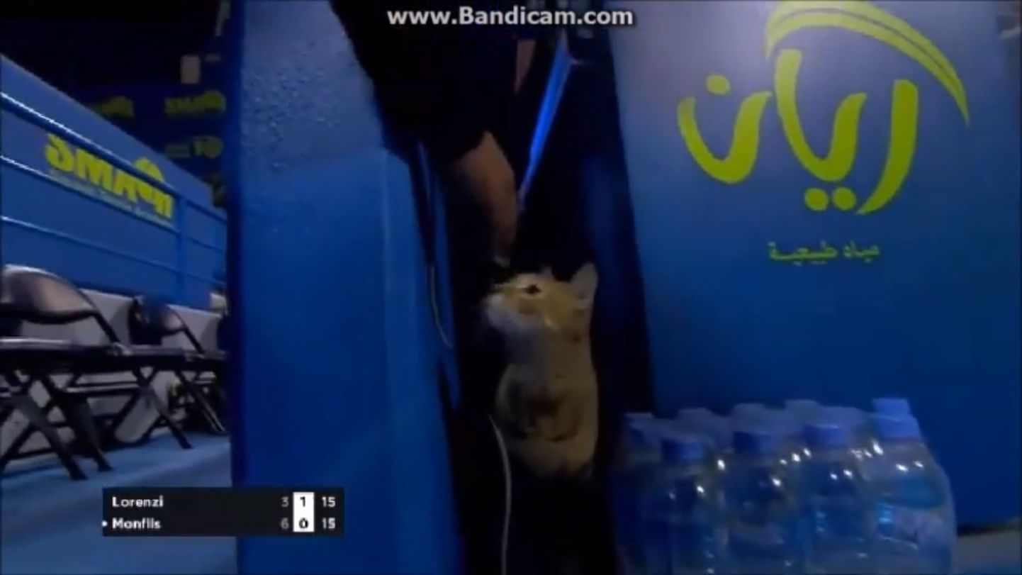 Kass Katari tenniseturniiril.