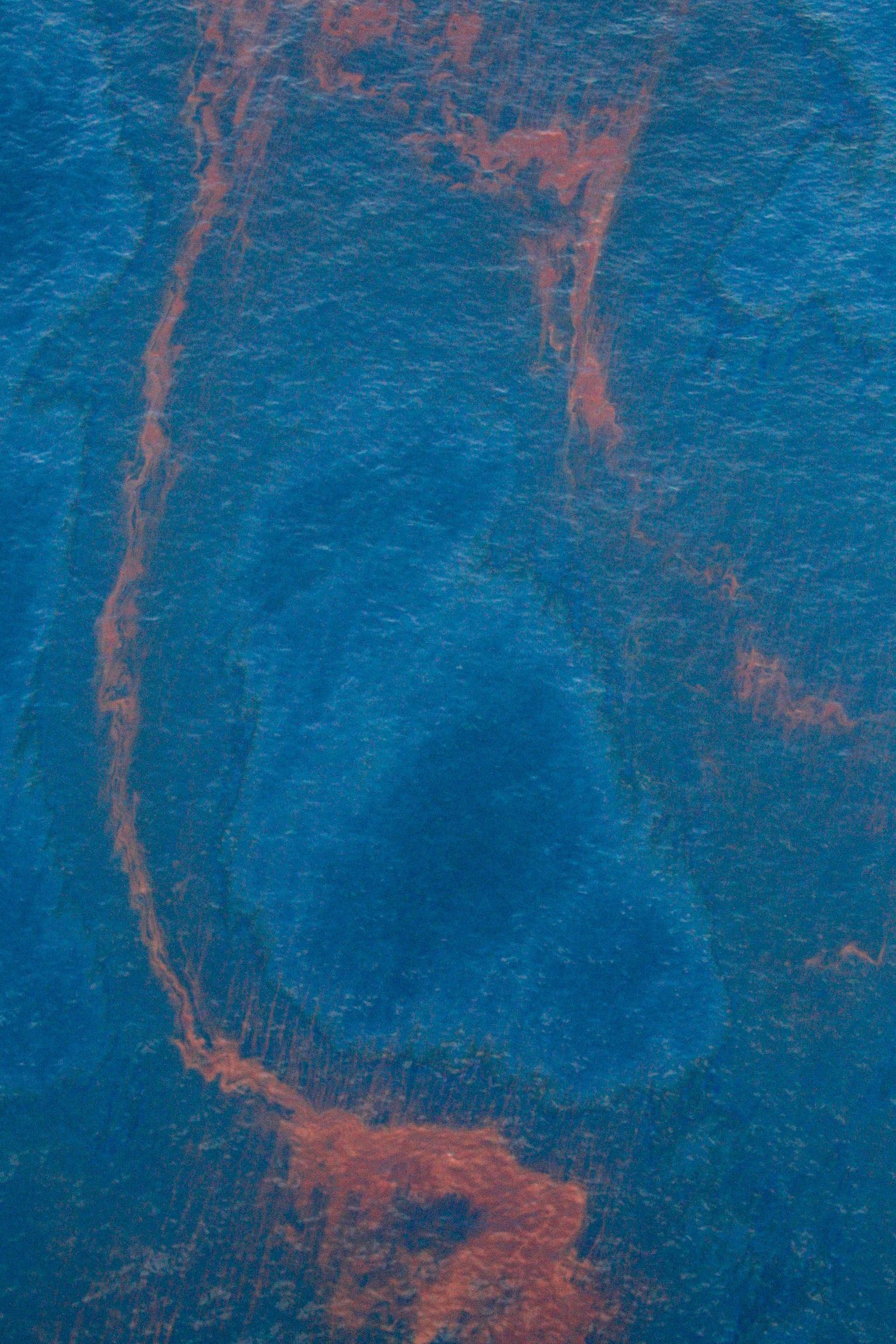 Deepwater Horizoni puuraugust lekkiv toornafta katab Louisiana ranniku lähedal merd.