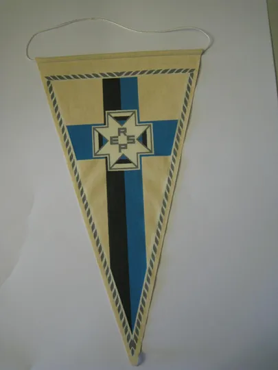 Eesti Rahvusliku Sõltumatuse Partei vimpel.