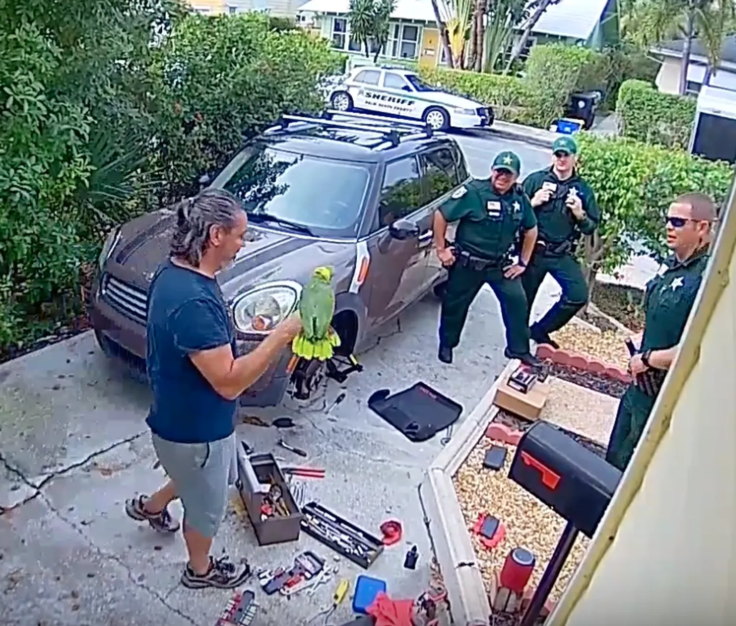 Floridas tekitas rääkiv papagoi Rambo naabrite seas ärevust, kui arvati, et hoopis mõni naine on hädas.