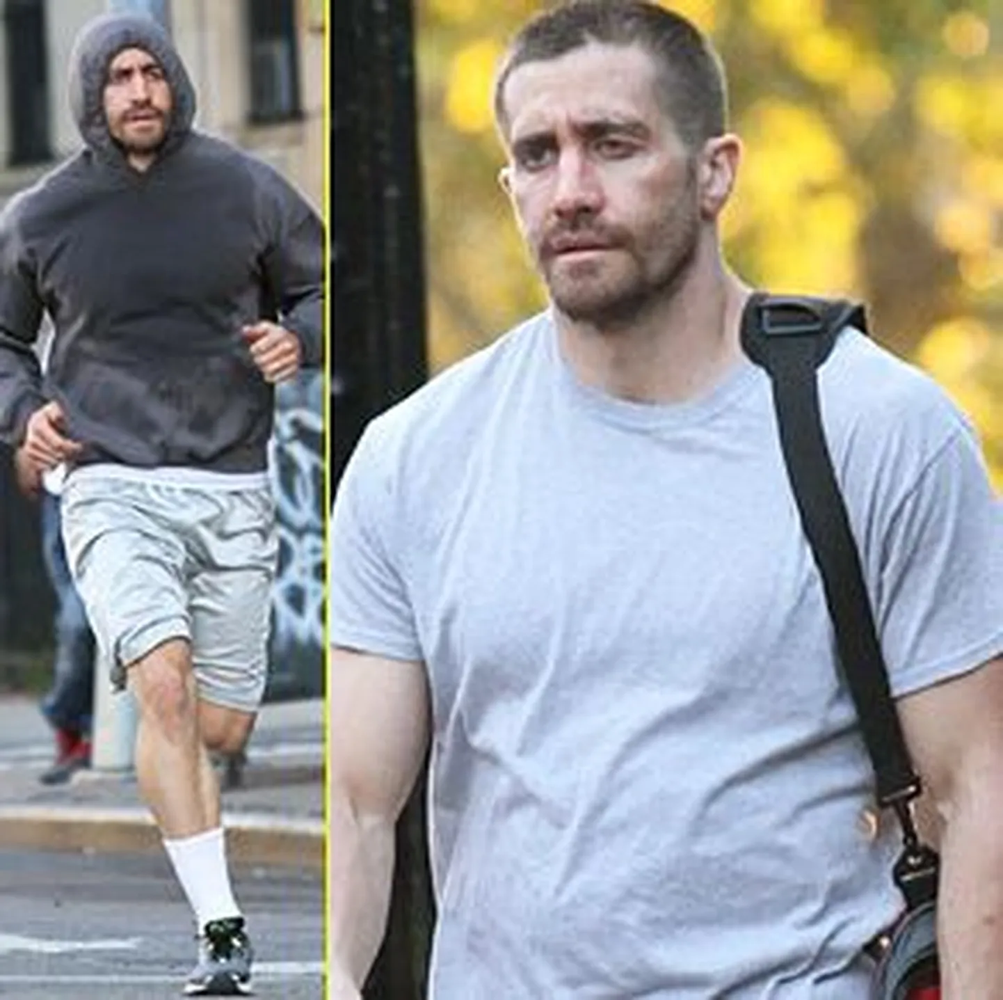 Jake Gyllenhaal