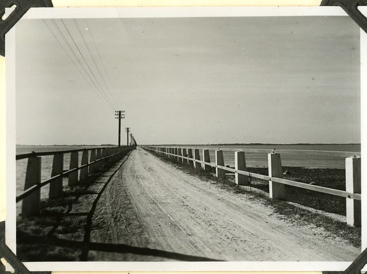 Vaade piki Väikese väina tammi. 1934.
