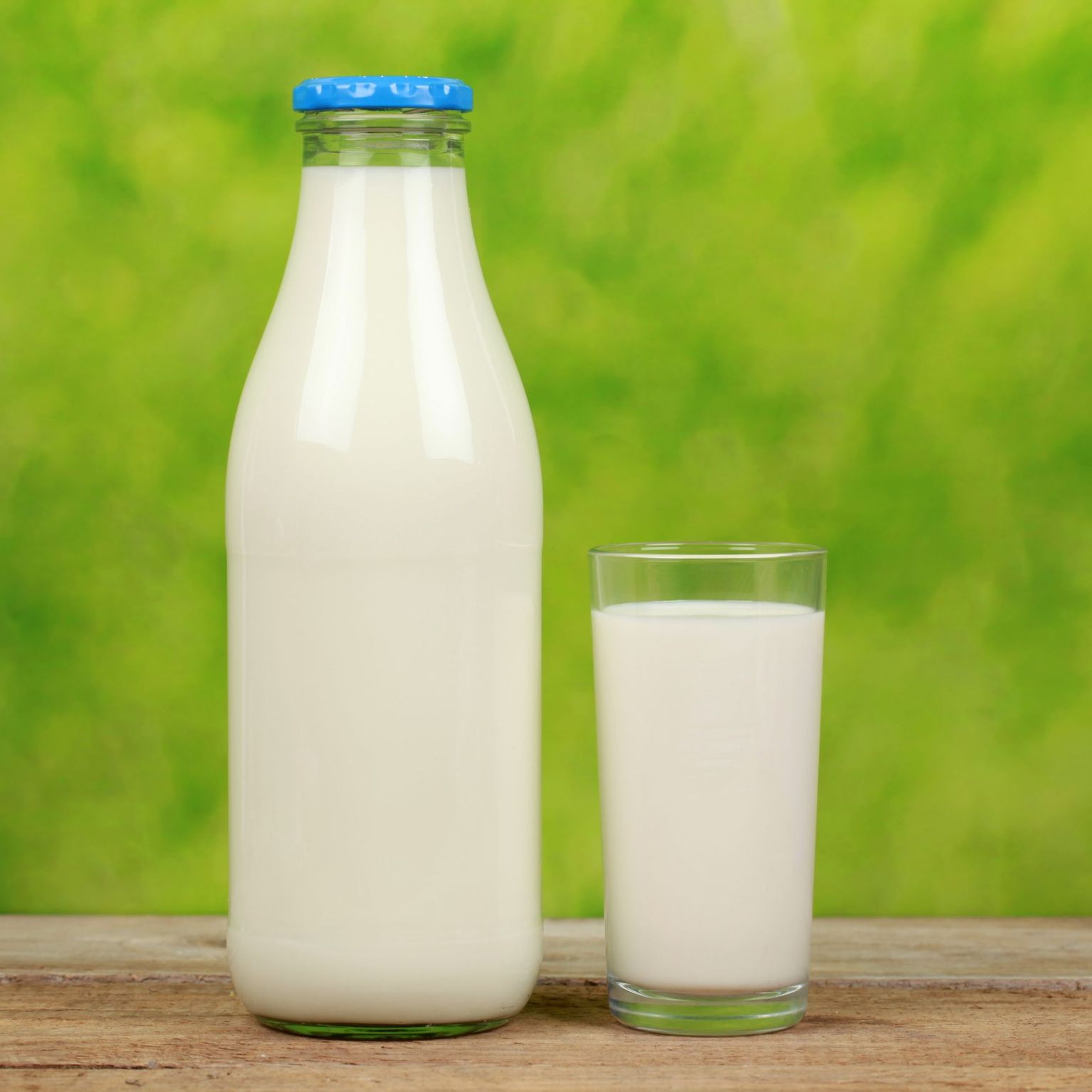 Piima laktoositalumatus ekorral juua ei saa.