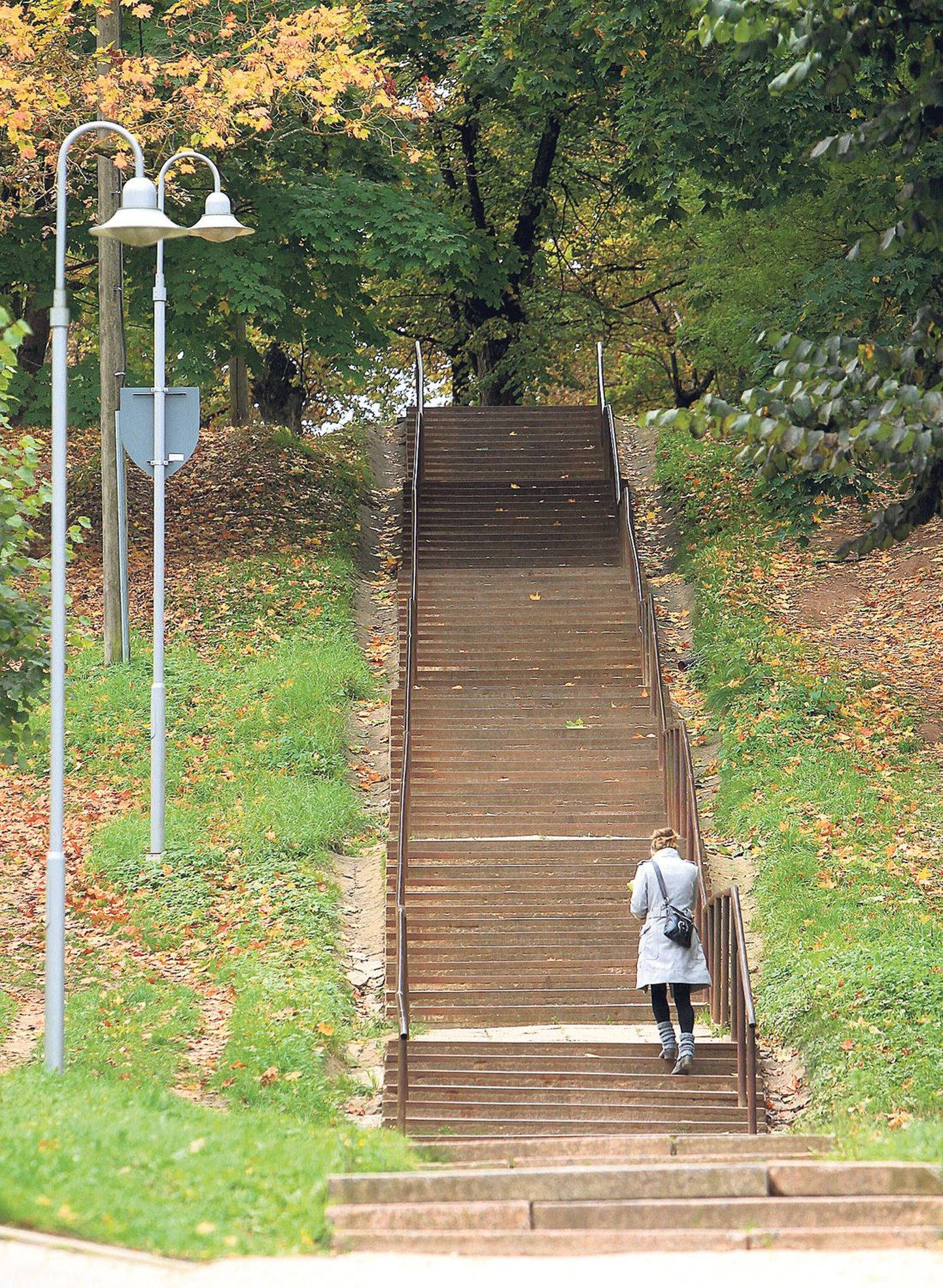 Supilinna selts ja kohalikud tahavad Marja tänava treppide kõrvale rajada võrdlemisi järsule mäenõlvale betoonist või metallist kaldpinna, kus saaks lükata vankrit või sõita rattaga.