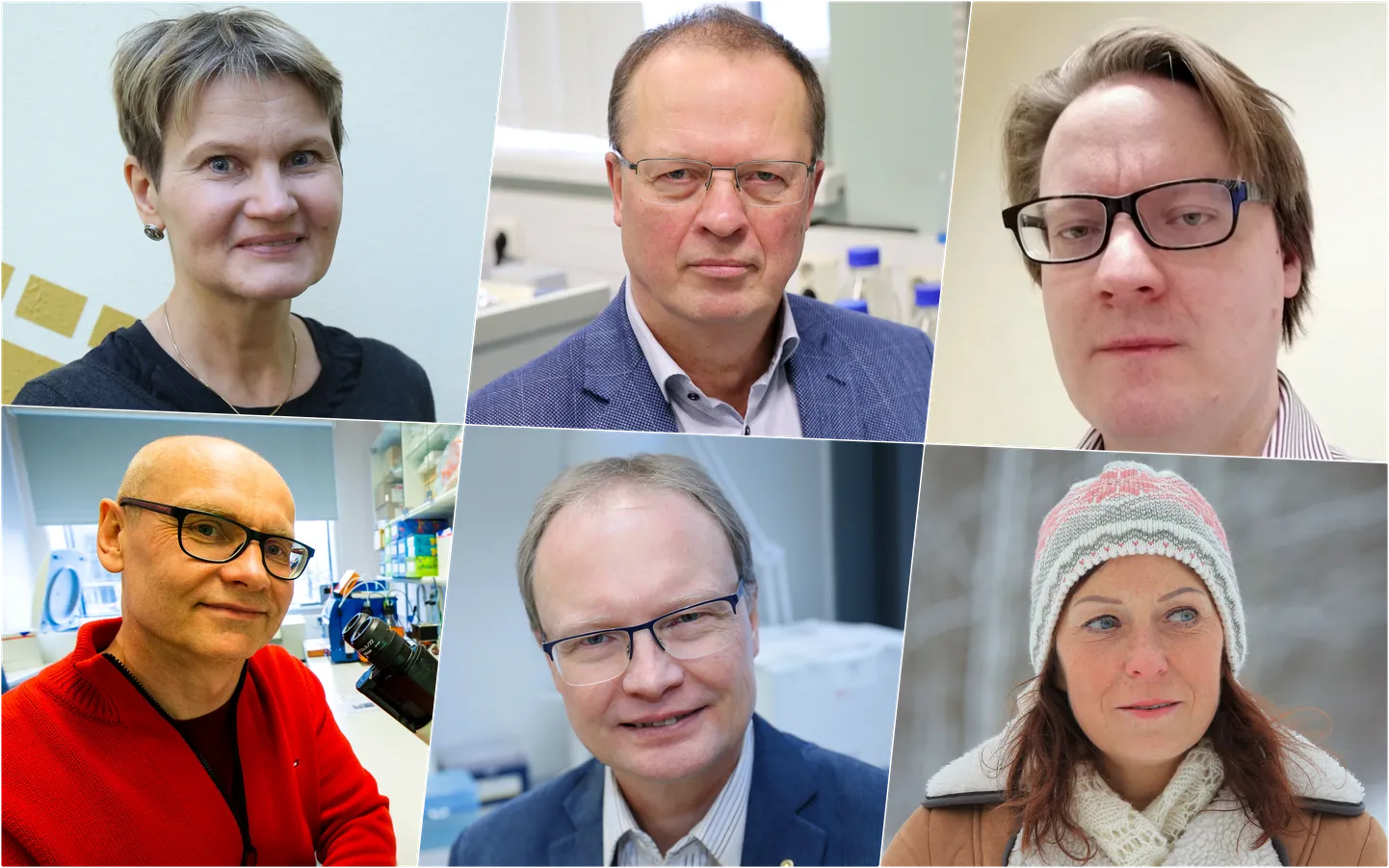 Triin Vihalemm, Toivo Maimets, Margus Varjak, Pärt Peterson, Jaanus Harro, Ruth Kalda.