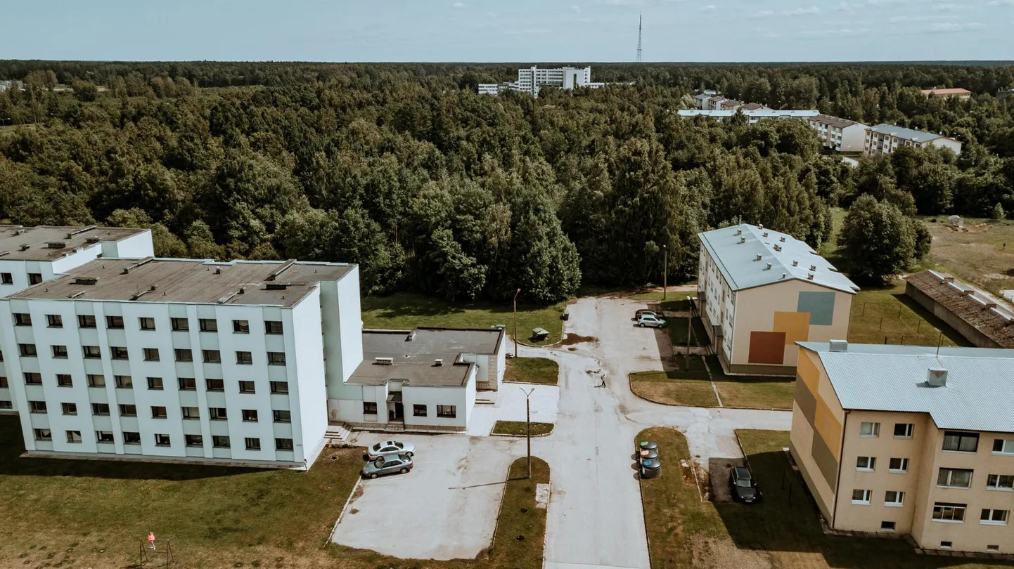 Üürimaja peaks kerkima Pärnu linna kinnistule Rohu 119. Praegu laiub seal võsa.