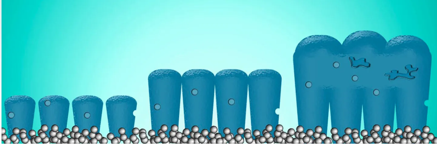 Ränianoodi kasvu erinevad faasid: kokku kasvanud nanomõõtkavas ränikiud on ülisuure vastupidavusega materjali ruumalmuutuste suhtes.