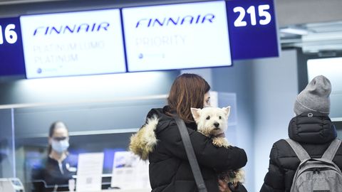 С понедельника возобновляется трудовая миграция в Финляндию. Пока только самолетами