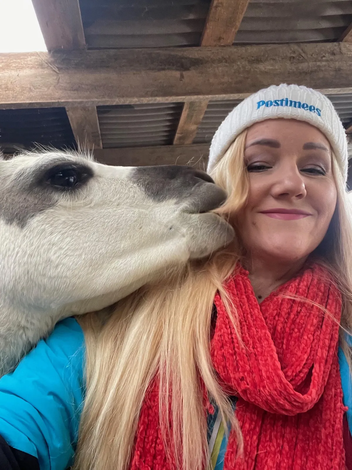 Delilah leiab, et juuksed on päris söödav kraam. FOTO: