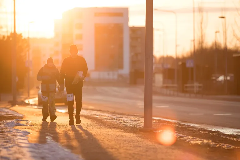 Tallinna Linnarogain