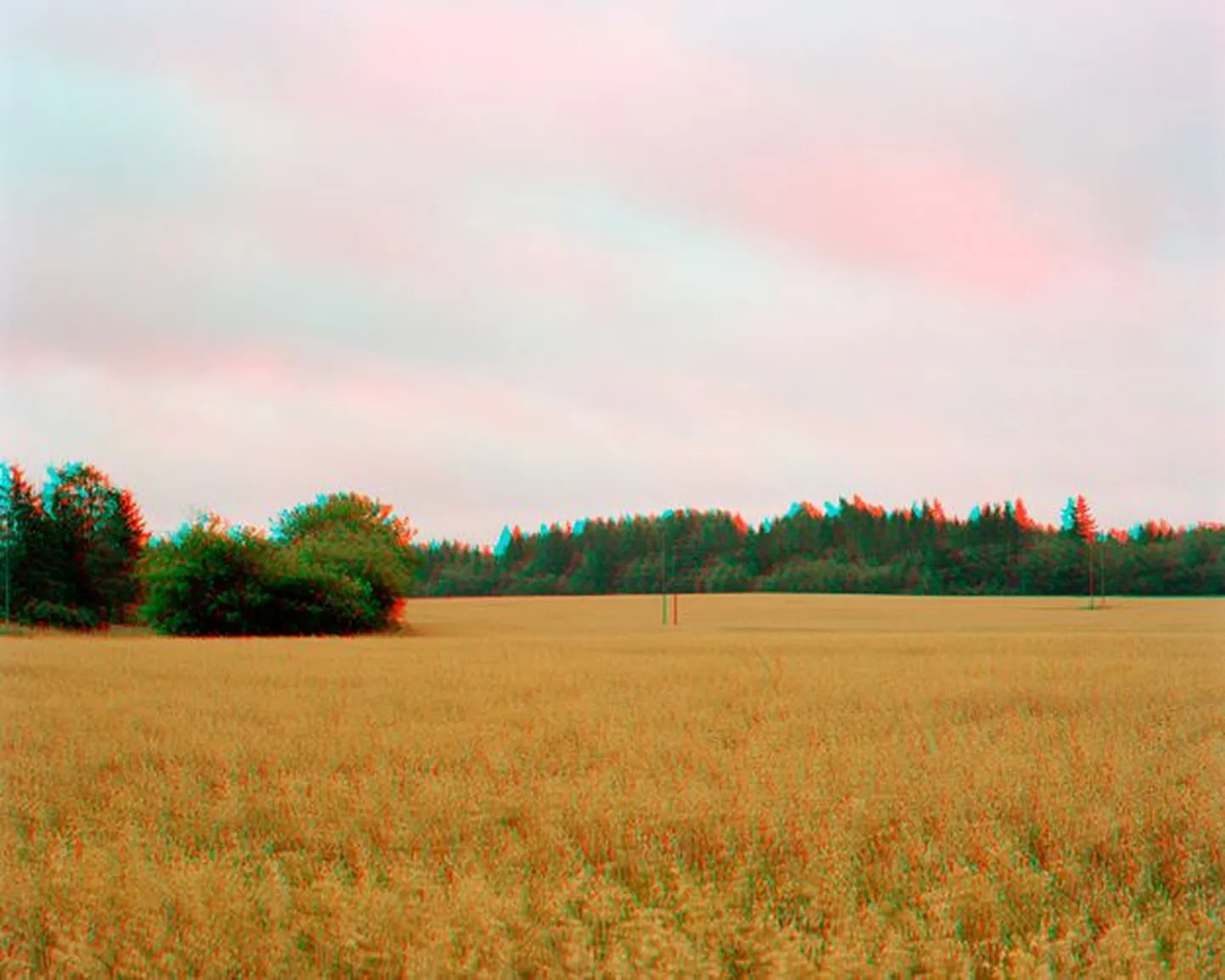 Paul Kuimeti 3D foto «Kohatu».