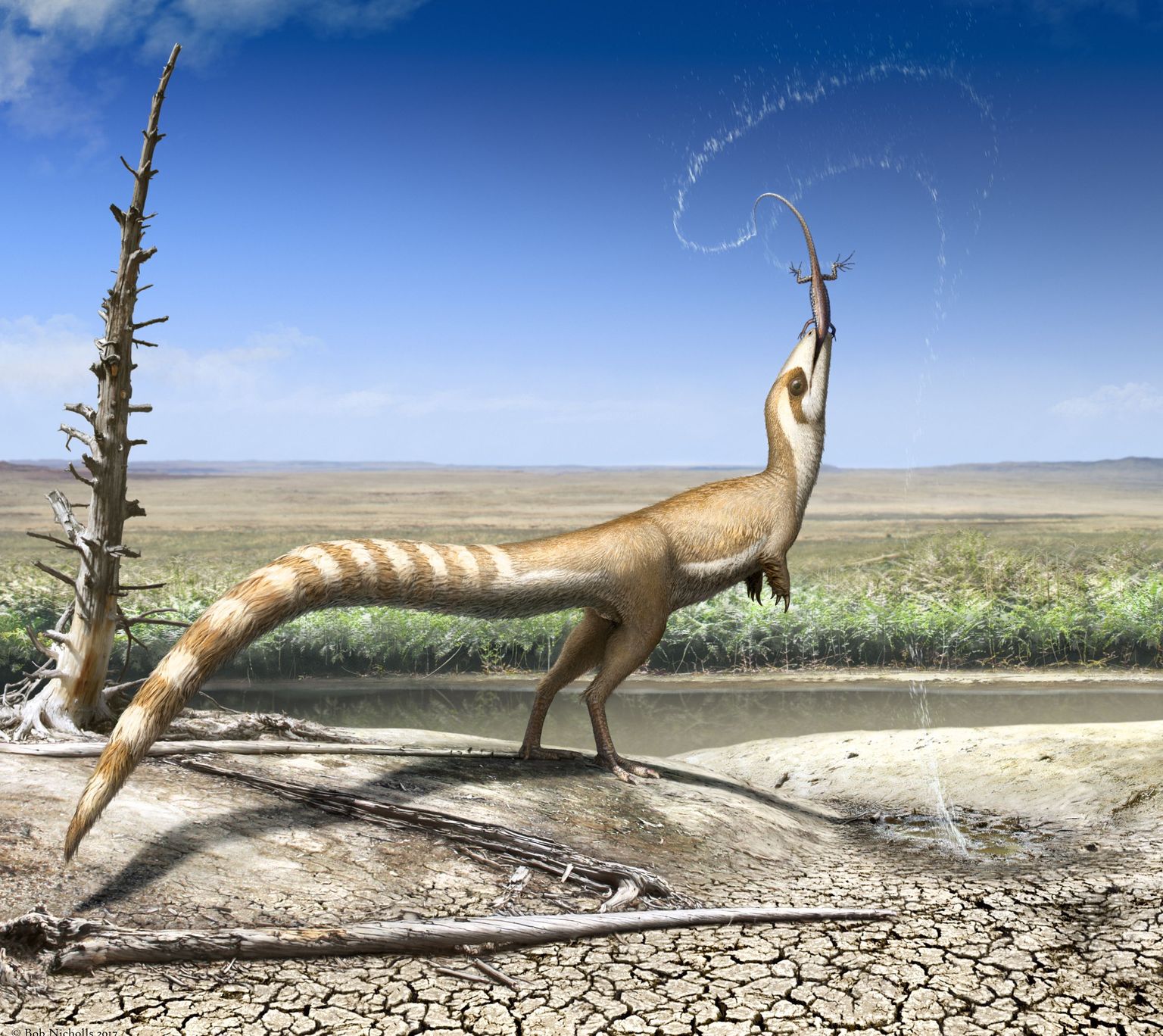 Kunstniku nägemus väikesest sulelisest dinosaurusest, Sinosauropteryx'ist.