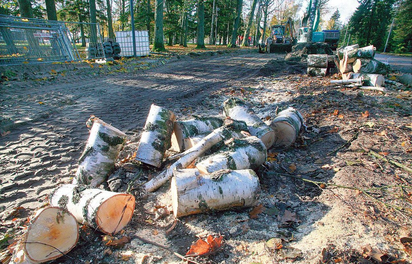 Kolm kaske said Pärnus Ranna puiesteel kaevetööde käigus kannatada.