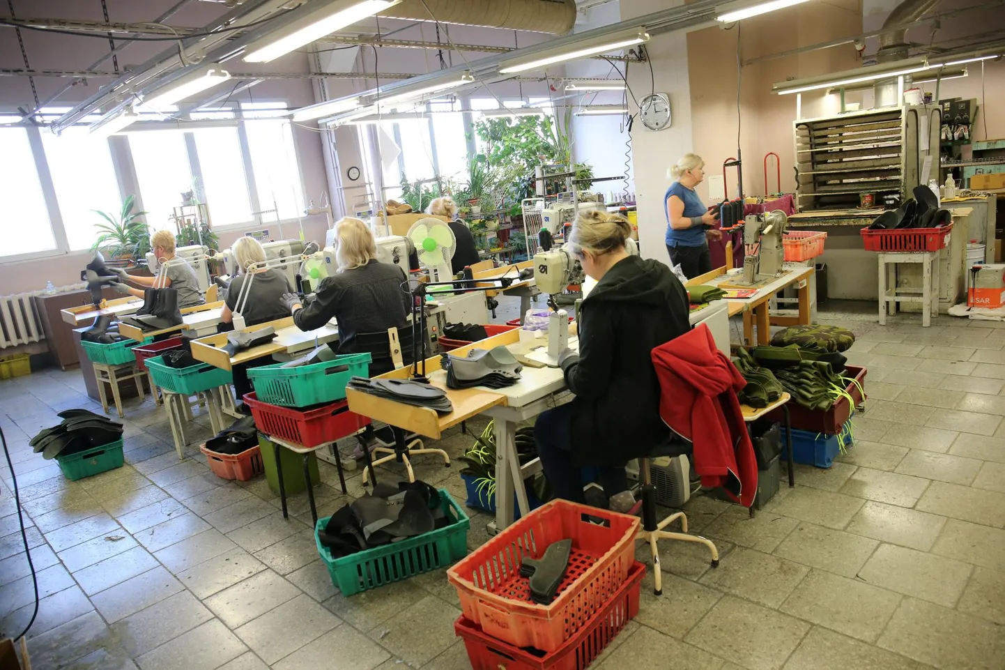 Samelini jalatsivabriku juht Leida Kikka ei hakka kedagi igaks juhuks koroonahirmus koju sundima ning töö käib edasi.