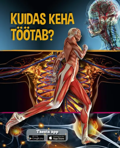 Marcus Johnson «Kuidas keha töötab?»