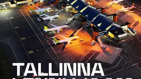 GALERII ⟩ Raamatusse jõudsid Tallinna lennujaama lood, mida ajalooürikutest ei leia