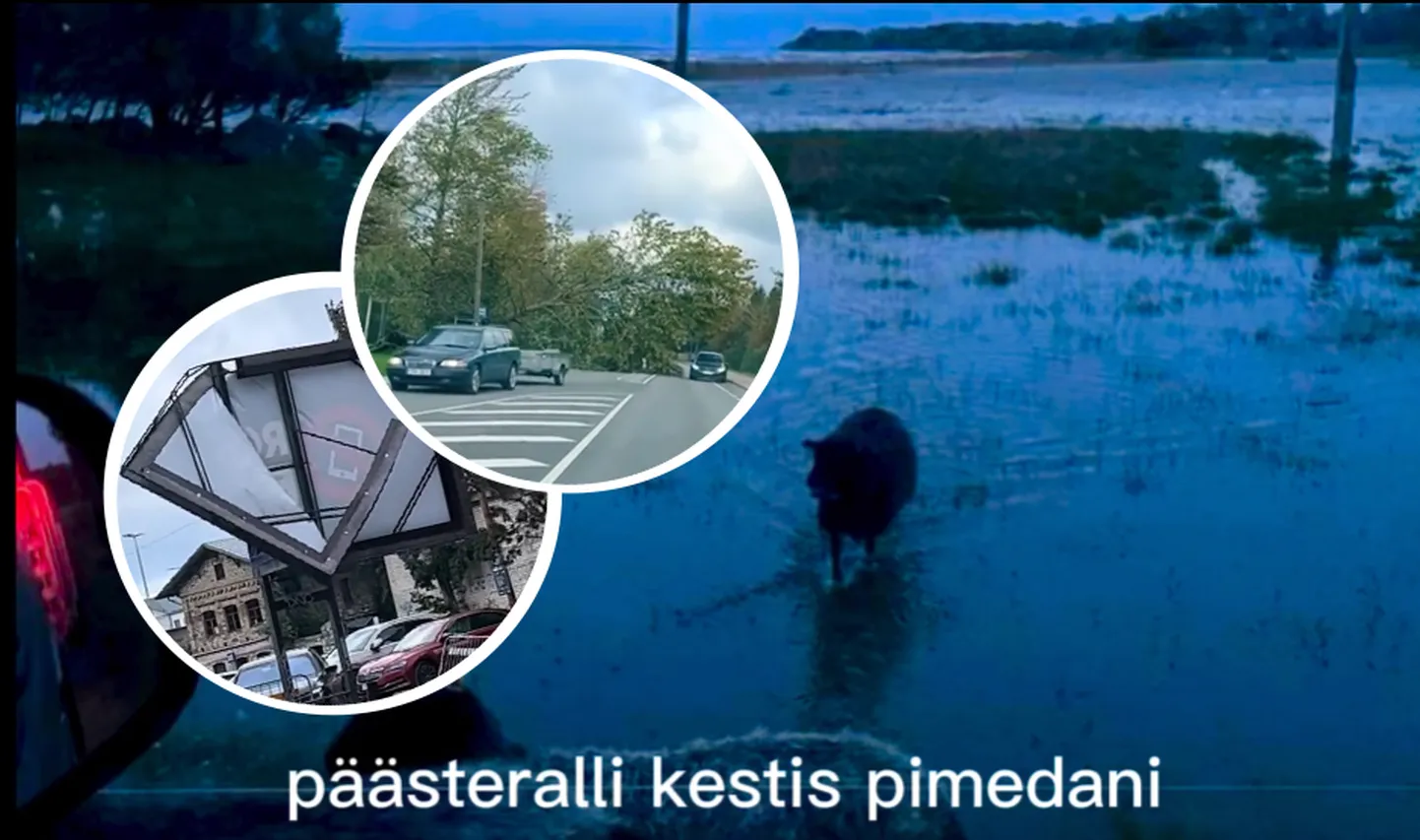 Raju torm räsis Eestit. Hätta jäid ka lambad!