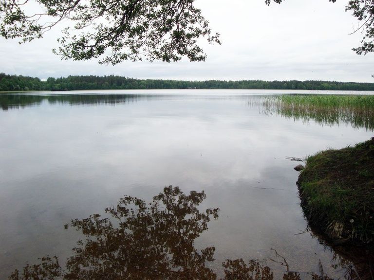 Järvi on Masuurias arvukalt.