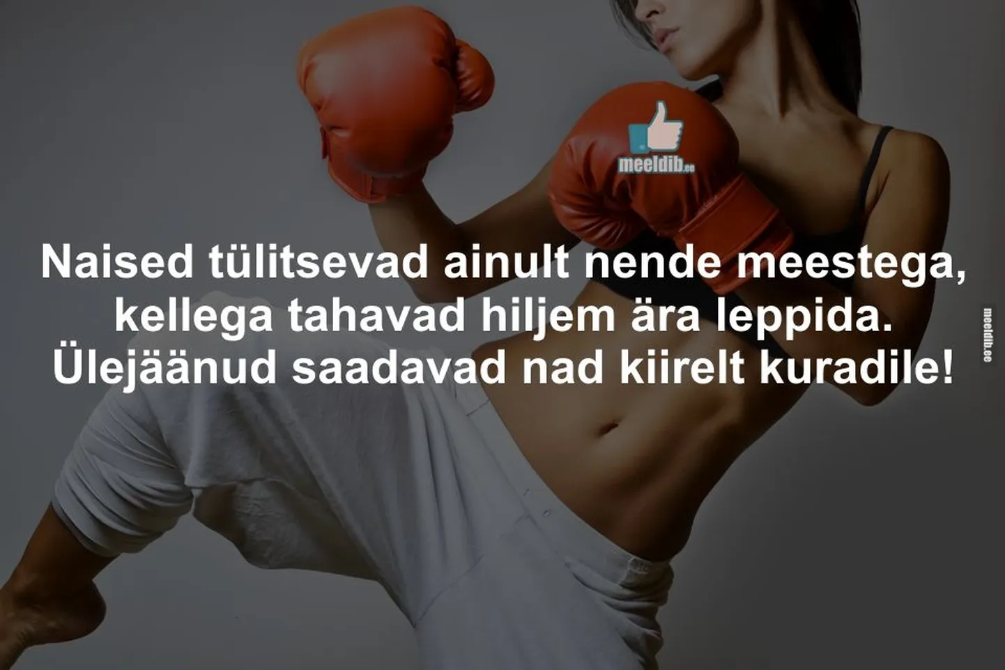 Artikli foto