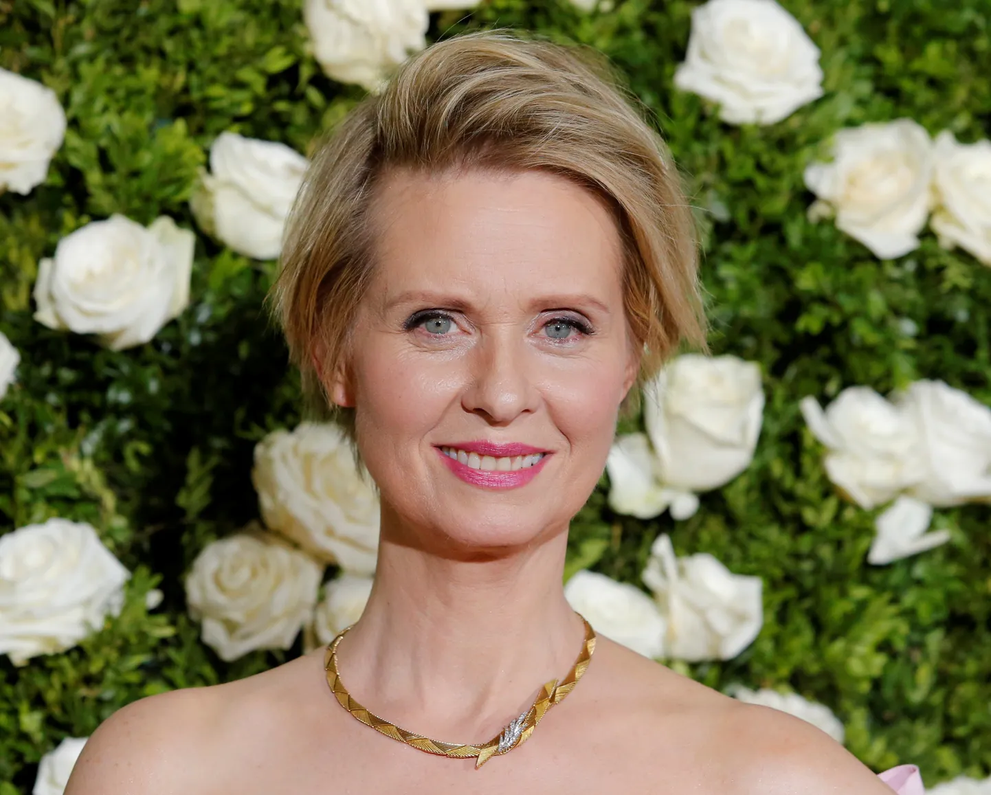 Cynthia Nixon, 2017.