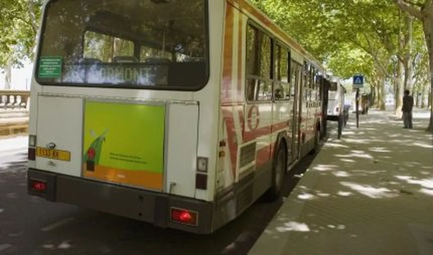 Rooma bussifirmas töötab juhi 850 sugulast ja sõpra