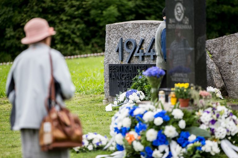 Sinimäel Grenaderimäel toimunud 20. Eesti relvagrenaderide diviisi veteranide iga-aastane kokkutulek, kus mälestati Sinimägede lahingutes langenud sõdureid.