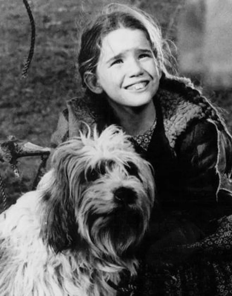 Melissa Gilbert seriaalis «Väike talu preerias» (1975)