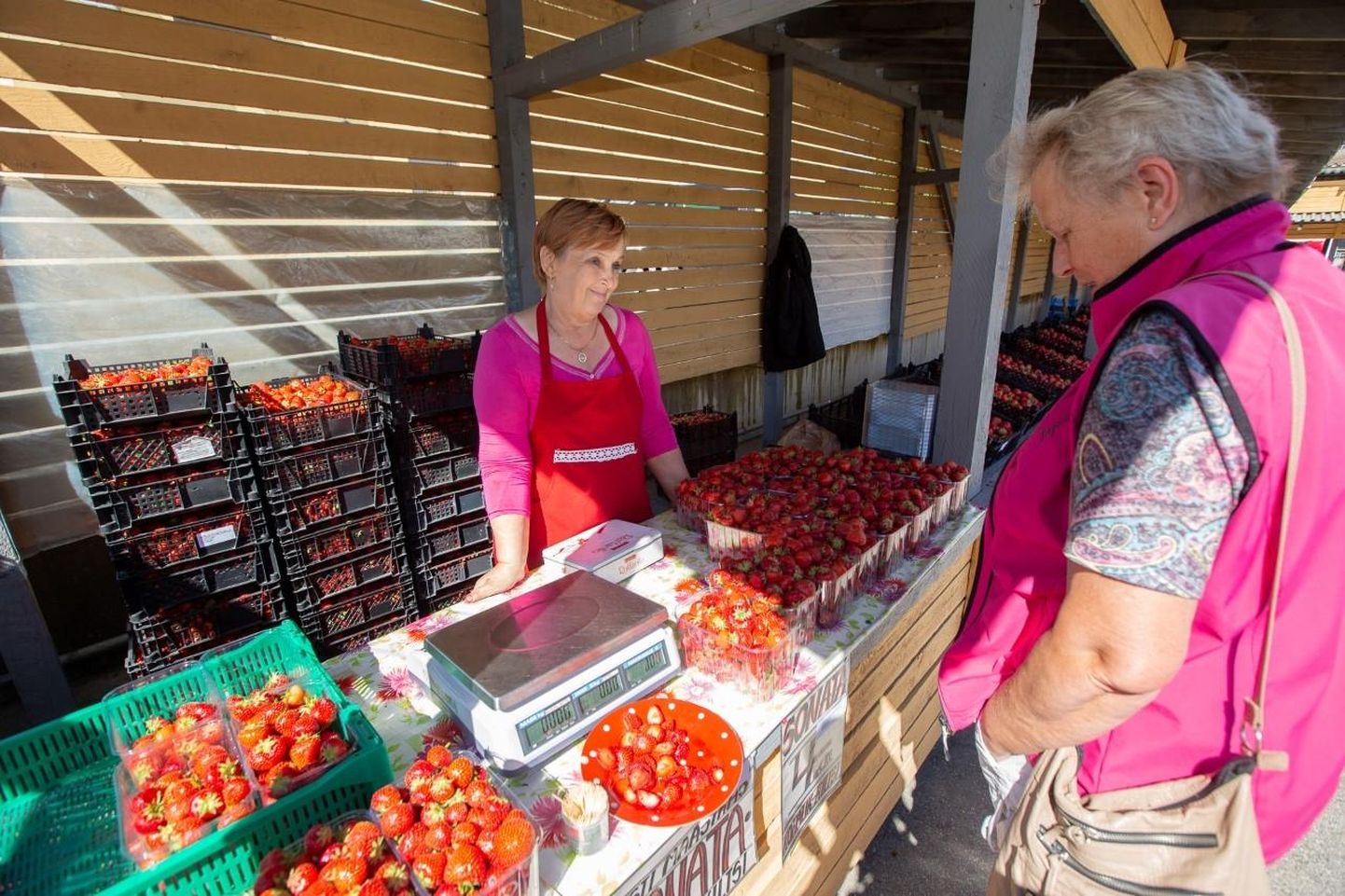 Rakvere turul Kiltsis kasvatatud maasikatega kauplev Merike klientide puuduse üle ei kurda.