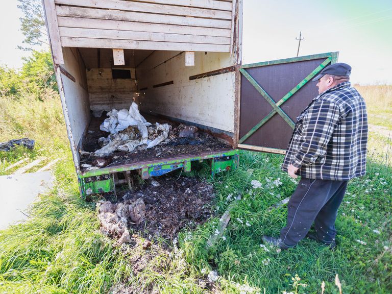 Виктор в поле Репинского у старого вонючего контейнера со сгнившими козьими тушами. Узнаваемыми остались рожки да ножки. Рядом якобы еще недавно валялась туша коровы, но теперь ее убрали. 