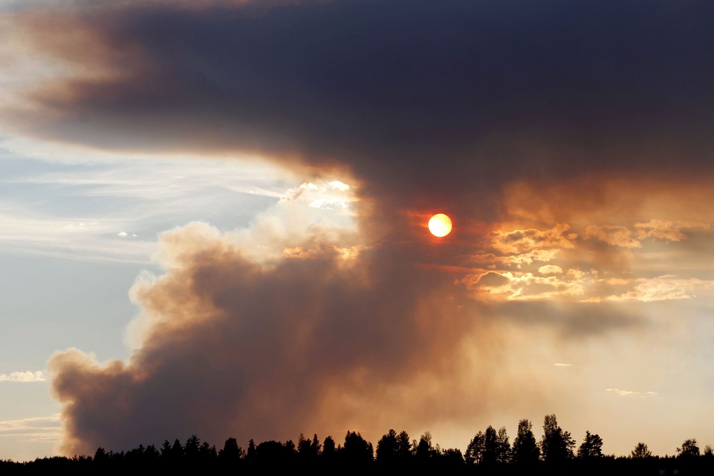 Tulekahju Karboles. Juulis on Rootsis alguse saanud sadakond metsapõlengut.