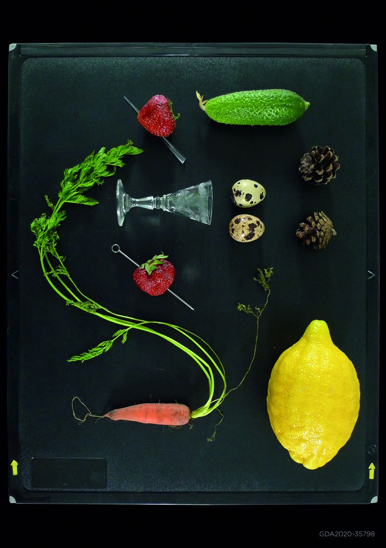 Näide kokteilibaarile Botaanik loodud brändiidentiteedist.